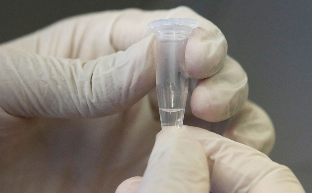 «Удар» по «короне»: вскоре новороссийцы смогут получить улучшенную форму вакцины от СOVID-19