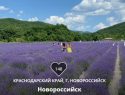 «Маршрут построен»: Новороссийск сражается за звание лучшего «Туристического города»