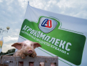 Мясо, зараженное африканской чумой, выявили в Новороссийске