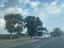 На море за 22 часа: из Москвы в Новороссийск запустили новый автобус 
