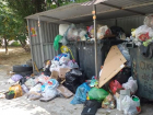 Мусор не дает нормально жить новороссийцам 