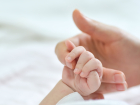 Налоговая поможет новороссийским мамочкам выбирать имена для их детей