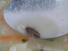 Суп с тараканом подали в инфекционной больнице Новороссийска