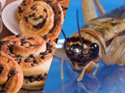 Булочки, печеньки и шоколад со сверчками смогут попробовать новороссийцы