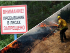 Почему новороссийцам лучше воздержаться от походов в лес 