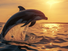 Дельфины в море, на мелководье и на берегу — что делать новороссийцам и туристам при встрече с китообразными