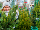 Праздник к нам приходит: в Новороссийске откроют елочные базары 