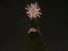 Дотянуться до звезды: женщина залезла на 20-метровую елку в Геленджике 