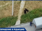 Эпидемия живодерства в Новороссийске — мужчины избивали собаку на глазах у всего дома