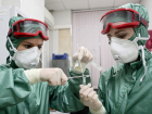 Около сотни новых больных: актуальные данные о коронавирусе на Кубани и в Новороссийске