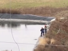 Спасли из водяной ловушки: в Новороссийске рабочие пришли на помощь тонущему щенку