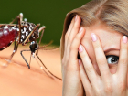 47 новых вирусов: комары стали еще опаснее для новороссийцев?