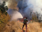Стали известны подробности лесного пожара в Новороссийске 