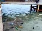 Кучами мусора на берегу моря поддерживают год экологии в Новороссийске