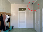 "Извращением попахивает!": за полуголыми детьми в гимназии Новороссийска наблюдают камеры 