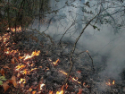 Еще один лесной пожар произошел этой ночью близ Новороссийска