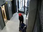 "Подлец спер кролика!": безобразие в новороссийской многоэтажке попало на видео 