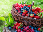 Сезонные ягоды на прилавках Новороссийска с пользой для здоровья 