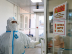 За сутки +705 заболевших коронавирусом: Новороссийск по-прежнему в числе лидеров
