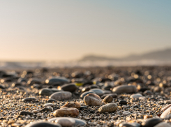 В 1,5 раза вырос спрос на курорт Кубани в бархатный сезон — в том числе на Новороссийск