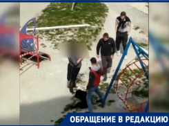Чужая жизнь - заказ: в Новороссийске отстреливают животных 
