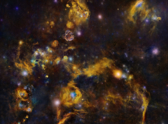 Гороскоп от “Блокнота” на 24 января — Весам стоит высказаться, а Стрельцам действовать