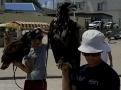 Чем фото с экзотическим животным в Новороссийске может быть опасным