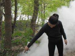 Вместо шашлыков получили штраф и памятку десятки новороссийцев  