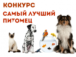 «Блокнот Новороссийск» предлагает выбрать «Самого лучшего питомца»