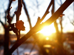 В среду в Новороссийске будет ясно и тепло