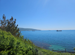 Погода в Новороссийске: ещё немного и будет +30 