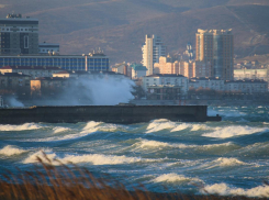 Пятница в Новороссийске будет солнечная, но ветреная 
