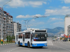 С понедельника в Новороссийске подорожает проезд в троллейбусах 