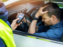 Люби и саночки возить: новороссиец отправится в колонию за пьяную езду 