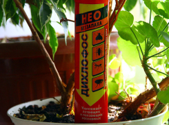 Из-за дихлофоса экстренно госпитализировали семью новороссийцев