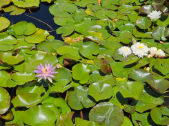 Погода в Новороссийске: ни намёка на дождь и свежий ветер 
