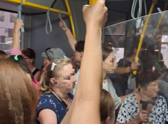 Как кильки в банке: маршрутка превратилась в квест для новороссийцев 