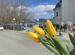 Угрозы нет: неспокойной ночь была не только в Новороссийске