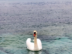  Интуиция - ваше все: звезды подскажут, как быть всем знакам зодиака