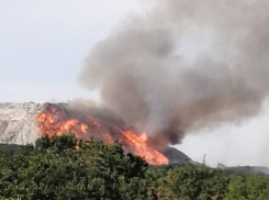 «Мы задыхаемся!»: новороссийцы просят Путина обратить внимание на пожар на Щелбе