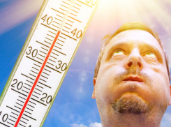 +37 по Цельсию: жуткая жара ждет новороссийцев 