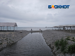 «Откройте уже проран!», - жительница Новороссийска просит выпустить рыб в Чёрное море 