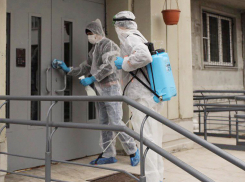 Не все управляющие компании Новороссийска помнят о санобработке в период пандемии 