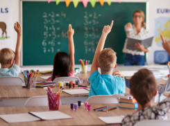 В Новороссийске могут начать учить детей мигрантов за деньги: новый законопроект в Госдуме 