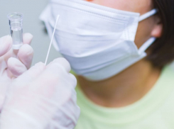 Зараженных все больше: сколько человек слегли с ковидом в Новороссийске 