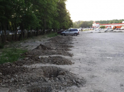 Более 40 акаций срубил нерадивый застройщик в Приморском районе Новороссийска