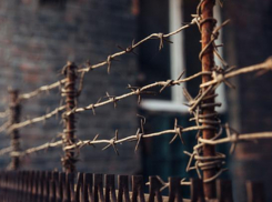 Новороссийский суд приговорил к лишению свободы сотрудника ФСИН, купившего арестанту гашиш