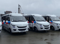 Вопрос решился быстро: новые новороссийские автобусы распределили по маршрутам