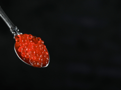 Как новороссийцам купить настоящую красную икру и отличить её от подделки 