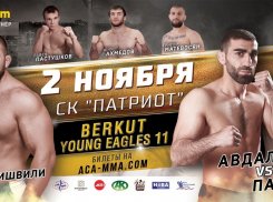 В Новороссийске состоится Турнир по смешанным единоборствам BerkutYoungEagles 